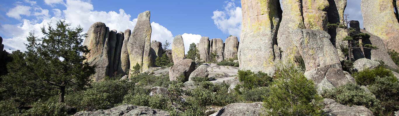 Actividades Turísticas en Creel