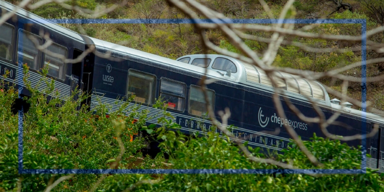 Tren Turístico en México - Tren Chepe Express